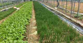 농민님의 자유주제 · 자유게시판 작성글 사진