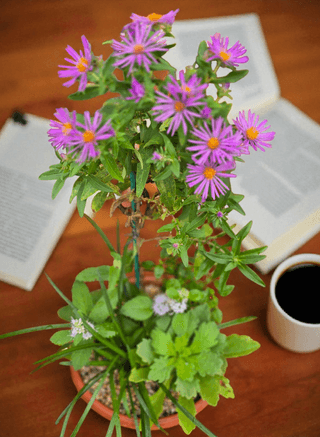 약초원 김종군님의 자유주제 · 자유게시판 작성글 사진