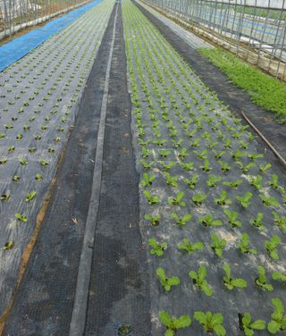 농민님의 자유주제 · 자유게시판 작성글 사진