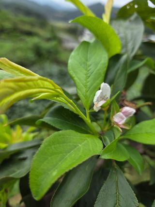 아쌰야로~님의 자유주제 · 자유게시판 작성글 사진
