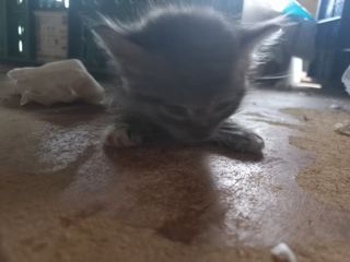 박린님의 자유주제 · 자유게시판 작성글 사진