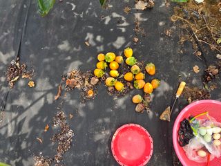 블루베리14645님의 자유주제 · 자유게시판 작성글 사진