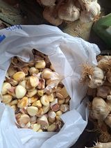 팜모닝 자유주제·자유게시판 게시글 이미지