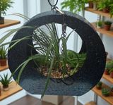 팜모닝 자유주제·자유게시판 게시글 이미지