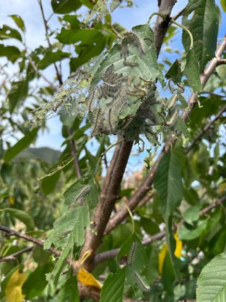 귤8640님의 자유주제 · 자유게시판 작성글 사진