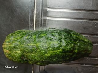 바위돌 심재성님의 자유주제 · 자유게시판 작성글 사진