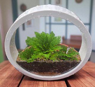 약초원 김종군님의 자유주제 · 자유게시판 작성글 사진