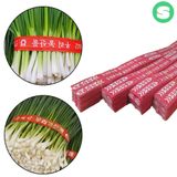 팜모닝 · 게시글 이미지