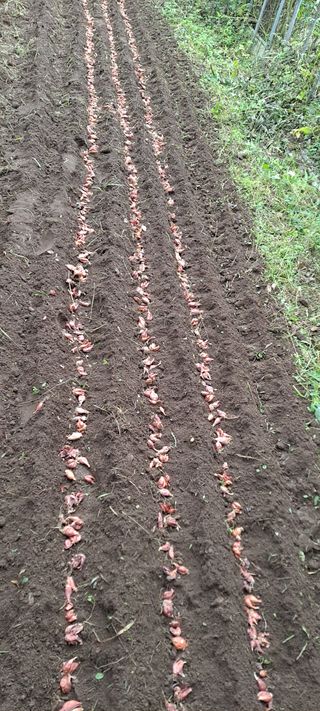 백순분님의 자유주제 · 자유게시판 작성글 사진