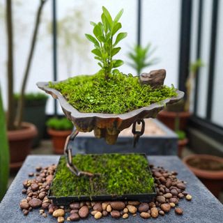 약초원 김종군님의 자유주제 · 자유게시판 작성글 사진