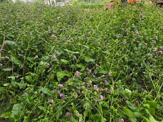 장관덕님의 자유주제 · 사진전 작성글 사진