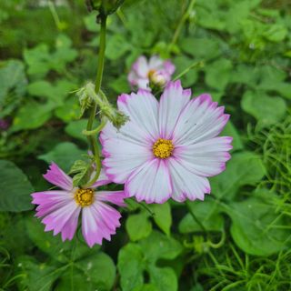 안길원님의 자유주제 · 자유게시판 작성글 사진