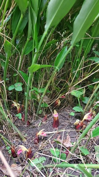 권혜전님의 자유주제 · 자유게시판 작성글 사진