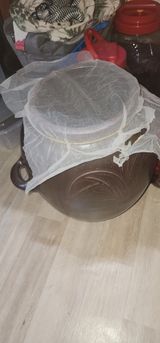 팜모닝 자유주제·자유게시판 게시글 이미지