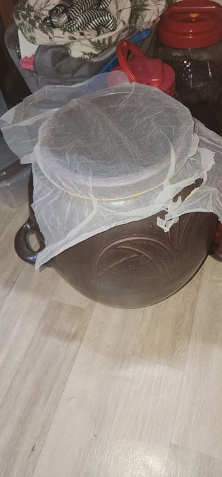 김선례님의 자유주제 · 자유게시판 작성글 사진