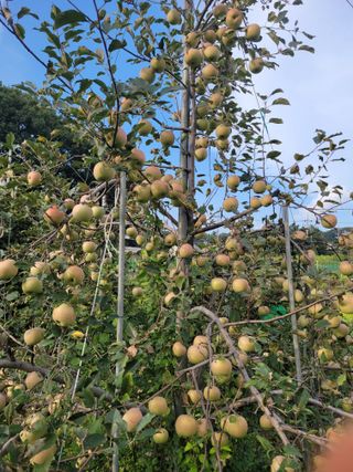 땅땅님의 자유주제 · 자유게시판 작성글 사진