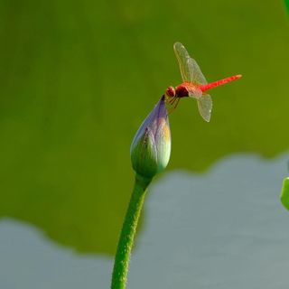안길원님의 자유주제 · 자유게시판 작성글 사진