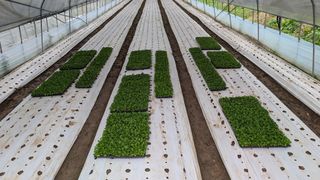 김형진님의 자유주제 · 사진전 작성글 사진