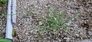 청도군님의 자유주제 · 자유게시판 작성글 사진