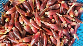 권혜전님의 자유주제 · 자유게시판 작성글 사진