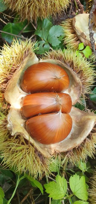 권혜전님의 자유주제 · 자유게시판 작성글 사진