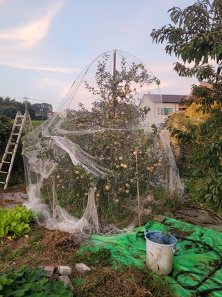 땅땅님의 자유주제 · 자유게시판 작성글 사진