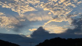 임붕철님의 자유주제 · 자유게시판 작성글 사진