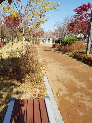 SOUL님의 자유주제 · 자유게시판 작성글 사진