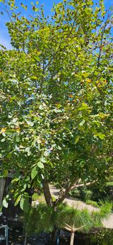 팜모닝 자유주제·자유게시판 게시글 이미지