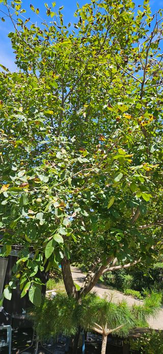 임 촌장.님의 자유주제 · 자유게시판 작성글 사진