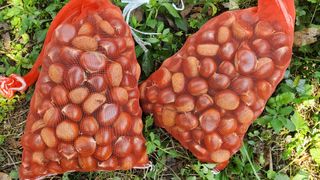 권혜전님의 자유주제 · 자유게시판 작성글 사진