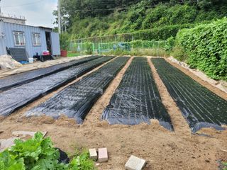 땅땅님의 자유주제 · 자유게시판 작성글 사진