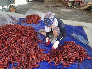 음두임님의 작성글 사진