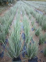 팜모닝 자유주제·자유게시판 게시글 이미지