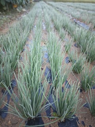 꽃봉산님의 자유주제 · 자유게시판 작성글 사진