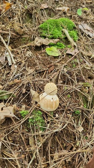 권혜전님의 자유주제 · 자유게시판 작성글 사진