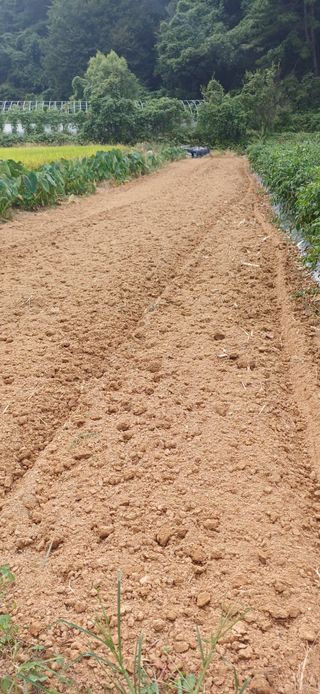 이강재님의 자유주제 · 자유게시판 작성글 사진