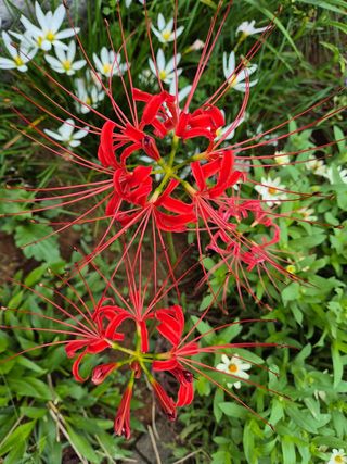 안길원님의 자유주제 · 자유게시판 작성글 사진