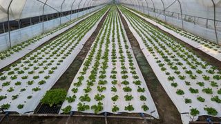 김형진님의 자유주제 · 사진전 작성글 사진