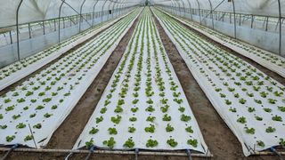 김형진님의 자유주제 · 사진전 작성글 사진