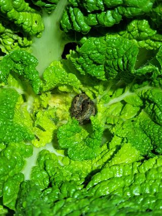 미날기미(김원영)님의 자유주제 · 자유게시판 작성글 사진