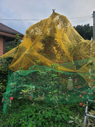 땅땅님의 자유주제 · 자유게시판 작성글 사진