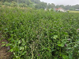 장관덕님의 자유주제 · 사진전 작성글 사진