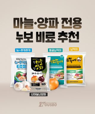 누보농장님의 자유주제 · 자유게시판 작성글 사진