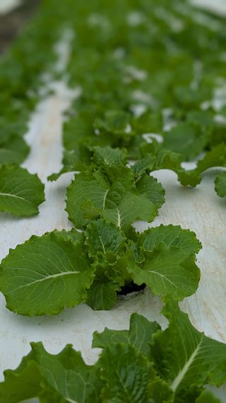 김형진님의 자유주제 · 사진전 작성글 사진