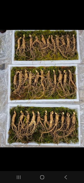 스마일님의 작성글 사진