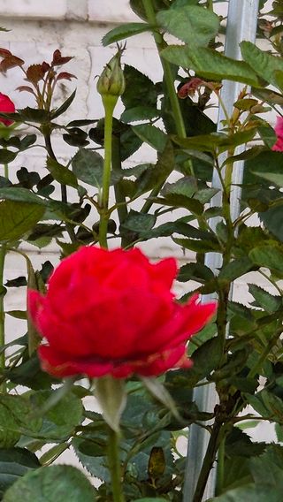 임붕철님의 자유주제 · 자유게시판 작성글 사진