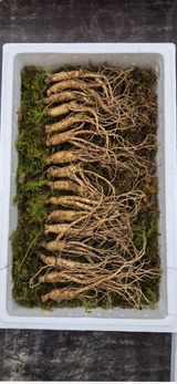 팜모닝 · 게시글 이미지