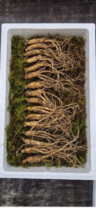 스마일님의 작성글 사진