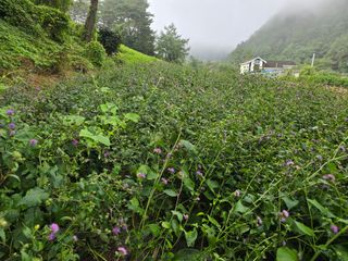 장관덕님의 자유주제 · 사진전 작성글 사진